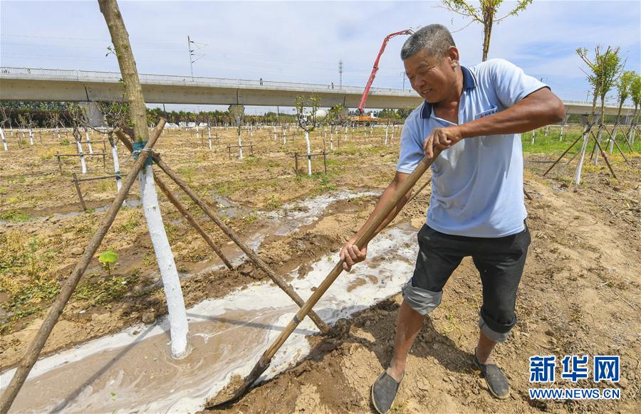 （環(huán)境）（1）河北霸州：打造特色景觀廊道