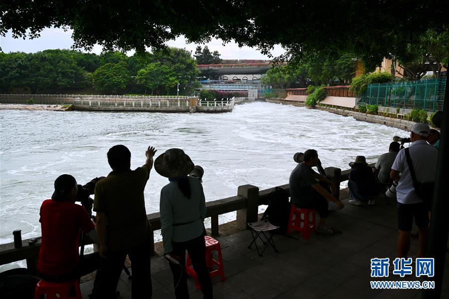 （特區(qū)40年·圖文互動(dòng)）（2）高顏值的生態(tài)花園之城——廈門生態(tài)建設(shè)觀察