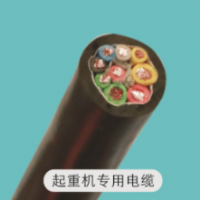 起重機專業(yè)電纜