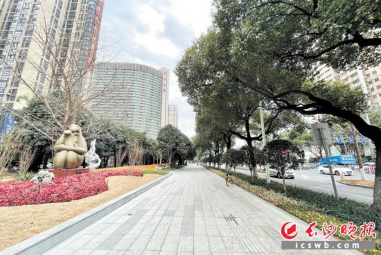 　　開福區(qū)芙蓉路綠葉女廣場周邊實施提質(zhì)后的景象。長沙晚報通訊員 陳偉 攝